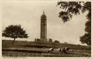 Bristol - Cabot Tower, Brandon Hill Print 1936