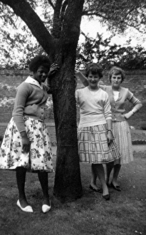 British Caribbean girl and two English girls standing by a t British Caribbean girl and two English girls standing by a t