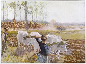 Historical Military Art Prints: British Cavalry Advance