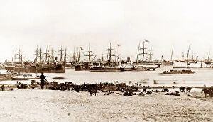 Ismailia Collection: British troops disembarking at Ismailia during