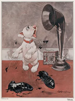 His Broadcast Masters Voice by George Studdy His Broadcast Masters Voice by George Studdy