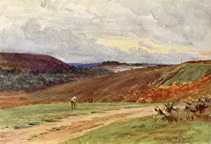 Broadstone Links