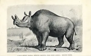 Lithograph Artwork Prints: Brontops robustus