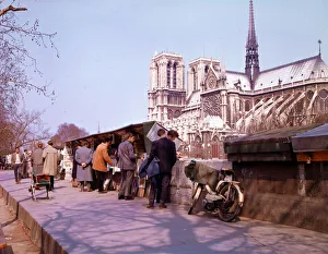 Browsing among the bouquinistes - Paris quais and Notre Dame Browsing among the bouquinistes - Paris quais and Notre Dame