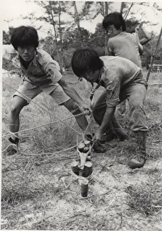Prints of Three Brunei scouts securing ropes, Borneo, south-east Asia Related Prints: Three Brunei Scouts Print, Borneo, South-East Asia