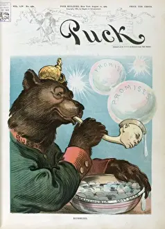 Russian Bear Cartoon Prints: Bubbles