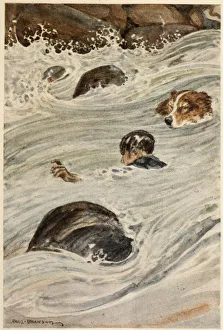 Buck & John Thornton caught in the rapids. Date: First published: 1903 Buck & John Thornton caught in the rapids. Date: First published: 1903