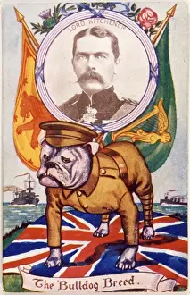 Union Jack Flag Print Prints: Bulldog and Kitchener