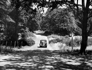 Leisure Activities In England Prints: Burnham Beeches
