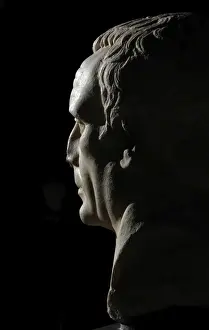 Roman Marble Bust Print, 1st century A.D