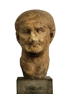 Prints of Bust of Vespasian. Sculpture on marble Related Prints: Vespasian Bust Marble Print