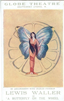 A Butterfly on the Wheel by Edward G. Hammond and F Nelson A Butterfly on the Wheel by Edward G. Hammond and F Nelson