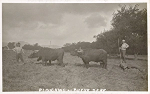Buyukdere - Village by Bosphorous - Ploughing Buyukdere - Village by Bosphorous - Ploughing