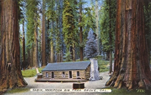 Cabin, Mariposa Big Tree Grove, California, USA Cabin, Mariposa Big Tree Grove, California, USA
