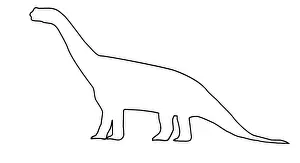 Mesozoic Era Animals Prints: Camarasaurus