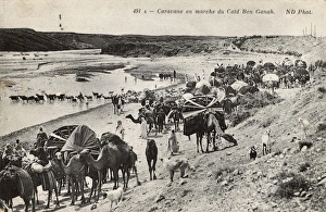 Camel caravan in Biskra district, Algeria Camel caravan in Biskra district, Algeria