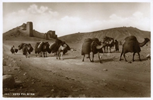 Camel Caravan close to Valley of Tombs, Palmyra, Syria Camel Caravan close to Valley of Tombs, Palmyra, Syria