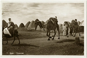 Camel caravan passing through Kafar Tkerime nr Aleppo, Syria Camel caravan passing through Kafar Tkerime nr Aleppo, Syria