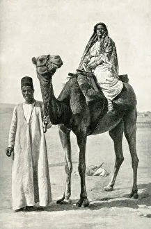 Camel in Nubian Desert, South Sudan, East Central Africa Camel in Nubian Desert, South Sudan, East Central Africa
