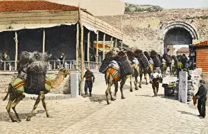 Istanbul Street Scene Prints: A camel train - Constantinople