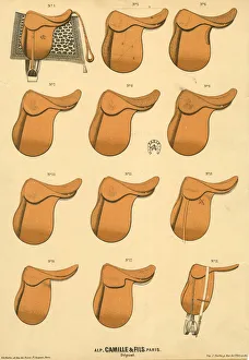 Camille & Fils, Paris - Horse Saddles Camille & Fils, Paris - Horse Saddles