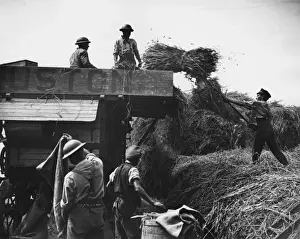 WW1 Canadian Troops Using Ruston Threshing Machine Print, 16 August 1918
