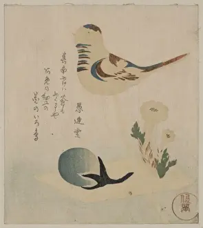 Early 19th Century Japanese Art Prints: Candy bubble