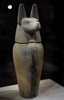 Canopic jar with lid in the form of a jackal: Duamutef. Egyp Canopic jar with lid in the form of a jackal: Duamutef. Egyp
