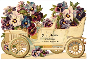 Car full of pansies on an American scrap Car full of pansies on an American scrap