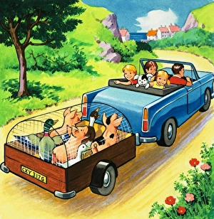 Car pulling a trailer of farmyard animals Car pulling a trailer of farmyard animals