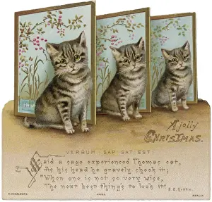 Print of Three Kittens by a Screen