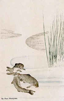 Three Carp in a pool by Maruyama Okyo Three Carp in a pool by Maruyama Okyo