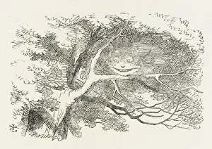 Prints of ALICE and THE CHESHIRE CAT The Cheshire Cat fades away Cheshire Prints: The Cheshire Cat Print: A Fading Image