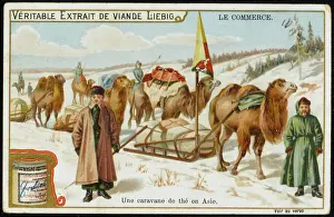 Caravan Prints: Carrying Tea by Camel Print