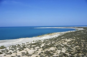 Caspian Sea Shore - sand desert with scarce vegetation Caspian Sea Shore - sand desert with scarce vegetation
