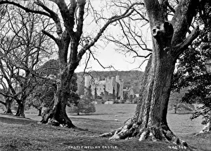 Northern Ireland Photography Locations Prints: Castlewellan Castle