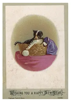 Framed Print : Cat and Ball of Wool Print Framed Print : Cat and Ball of Wool Print