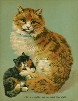 Ginger Kitten Prints: Cat and her Kitten