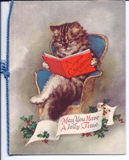 Cat reading a book on a Christmas card Cat reading a book on a Christmas card