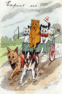 Cats in a dog cart - Louis Wain Cats in a dog cart - Louis Wain