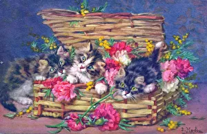 Cats and flowers in a wickerwork basket on a postcard Cats and flowers in a wickerwork basket on a postcard