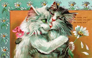 Two cats by Louis Wain on a romantic postcard Two cats by Louis Wain on a romantic postcard