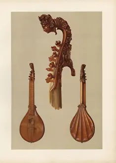 William Gibb Illustrations Prints: Cetera or cither by the violin-maker Antonius