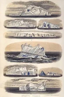 Challenger Icebergs Print, 1874