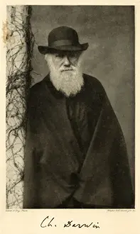 Victorian Era Art Prints: Charles Darwin / Column