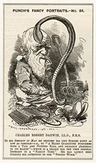 Victorian Era Satire Art Prints: Charles Darwin studying a worm