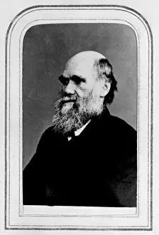 Charles Darwin Portrait Print, H.M.S. Beagle 1830s