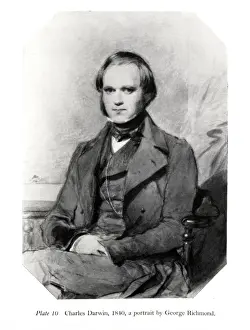 Charles Darwin Prints: Charles Robert Darwin