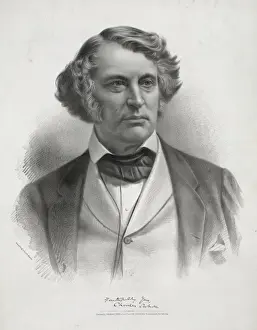Charles Sumner Print, c1872