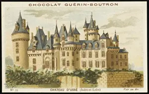 French Chateaux Prints: Chateau D usse